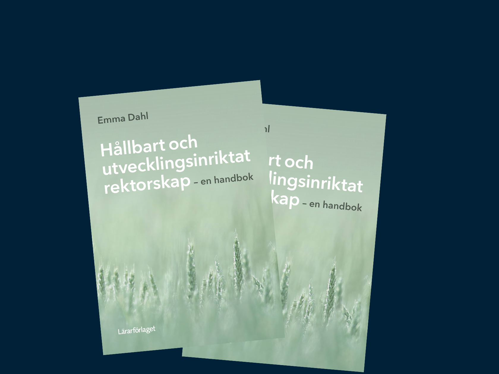 Bokomslag Hållbart och utvecklingsinriktat rektorskap